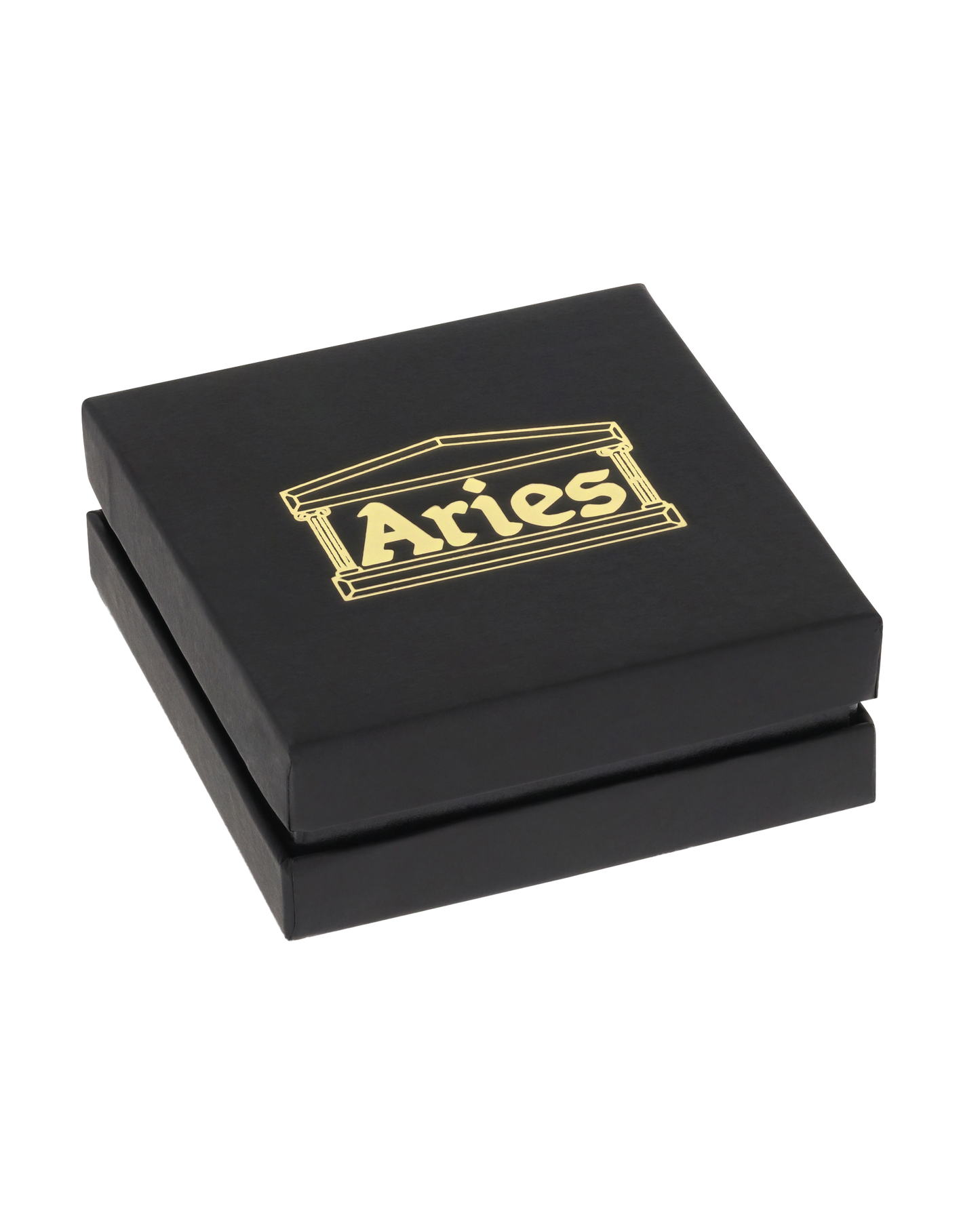 Mini Column Carabiner Earring - PAIR