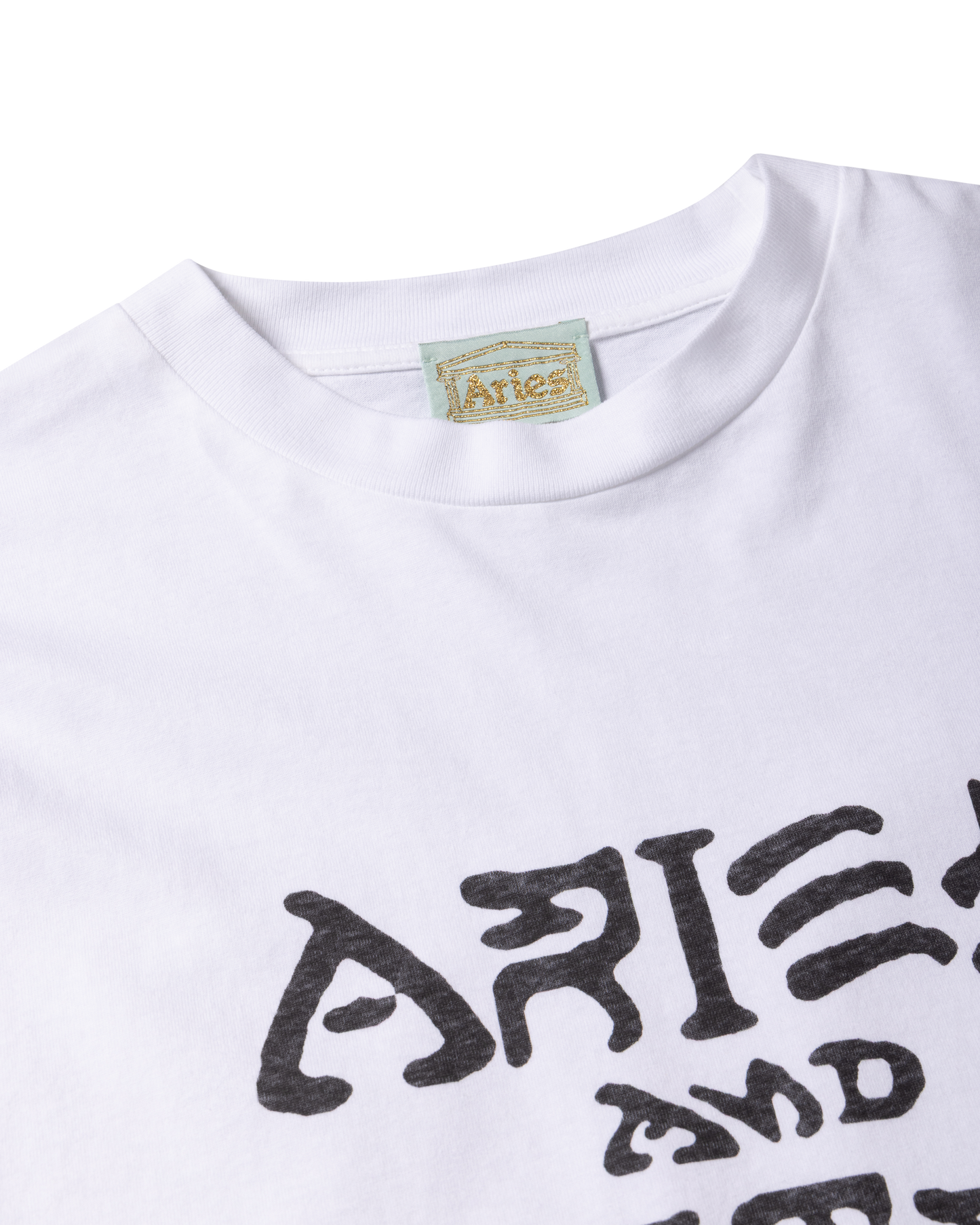 Aries and Destroy LS Tee