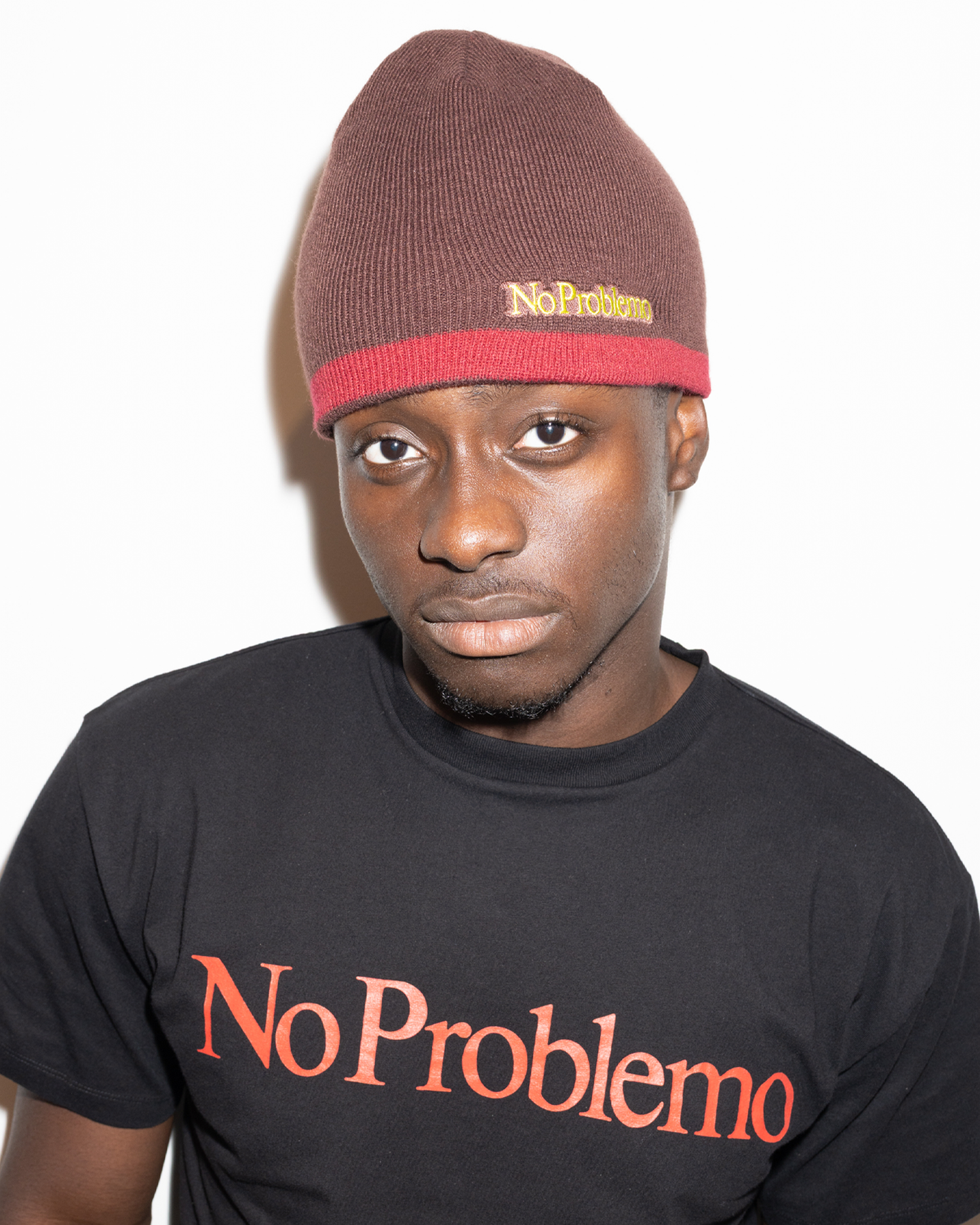 NP Stripe Reversible Beanie