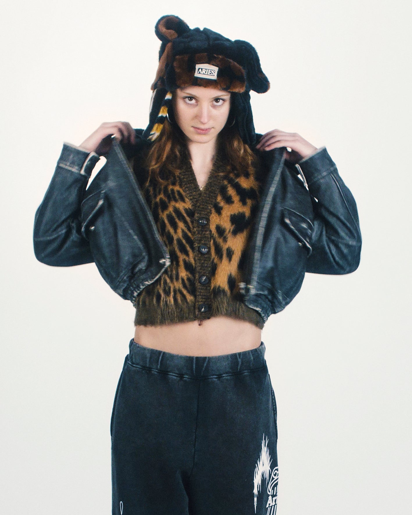 Official Website of ARIES™ – Aries