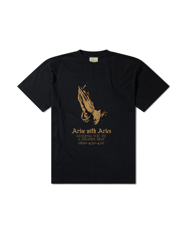 Faded Arise with Aries SS Tee