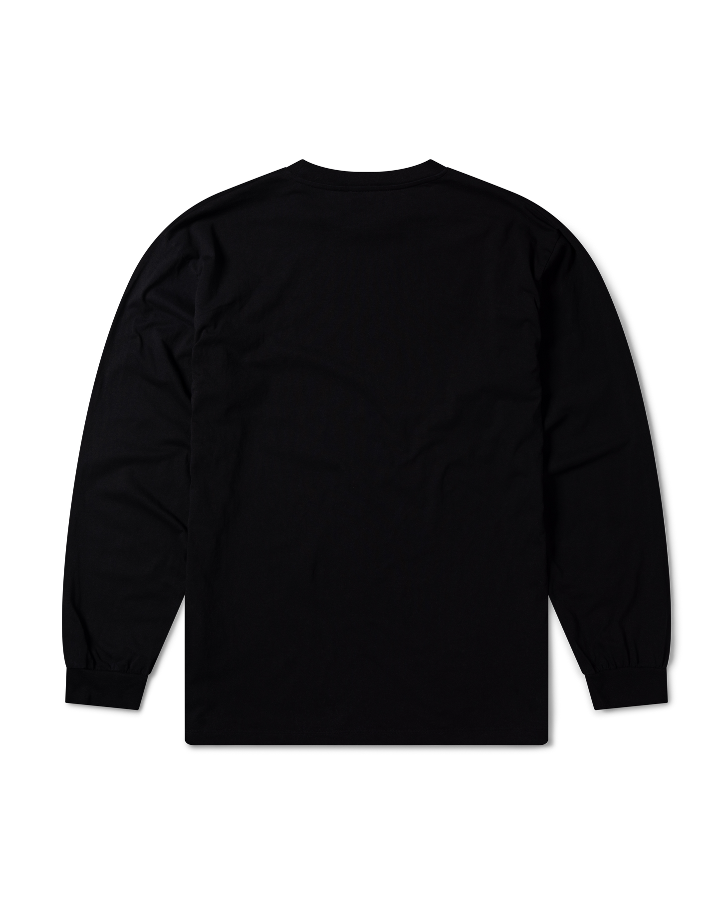 Aries and Destroy LS Tee