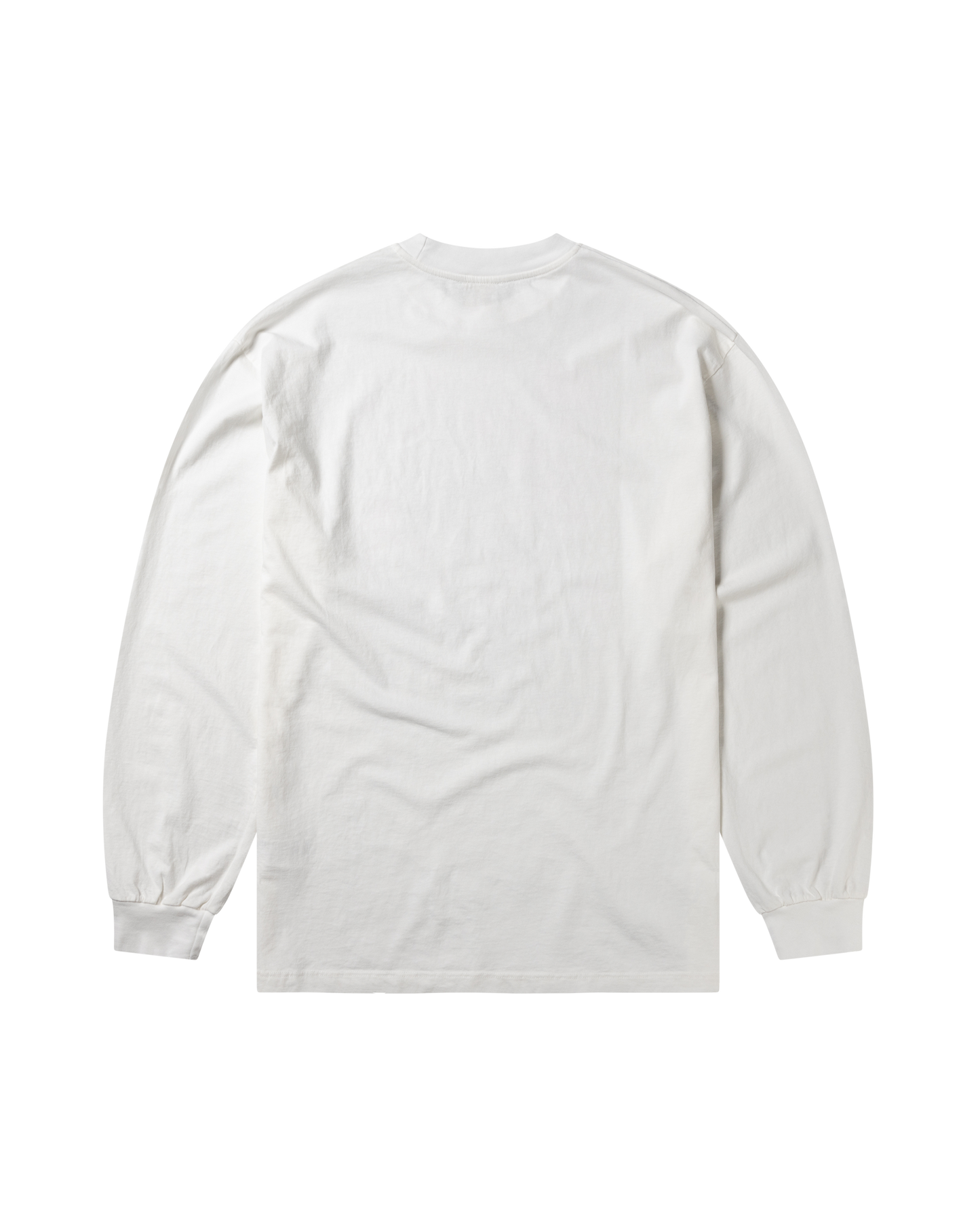 Faded Shroom Awakening LS Tee