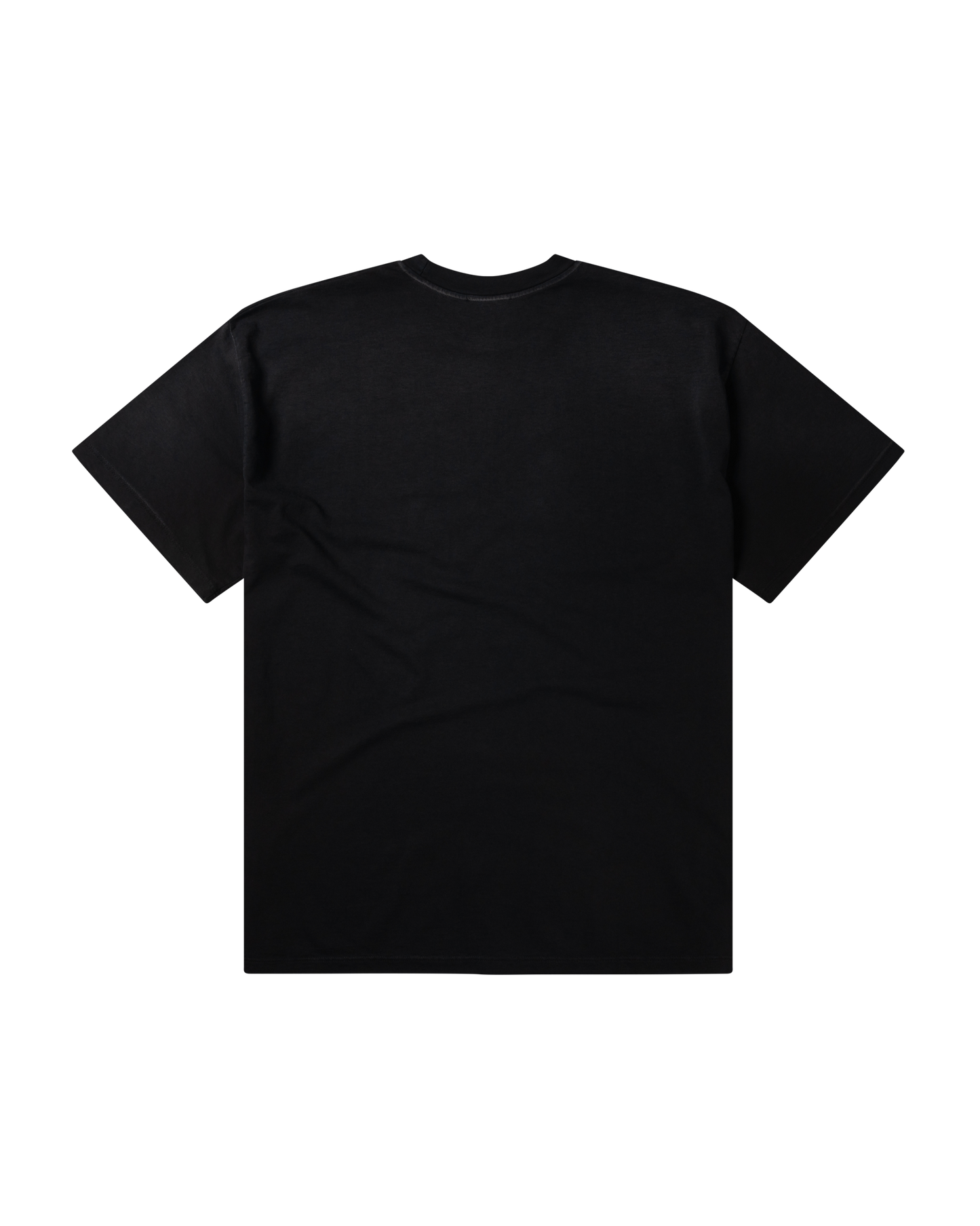 Sunbleached Ancient Temple SS Tee