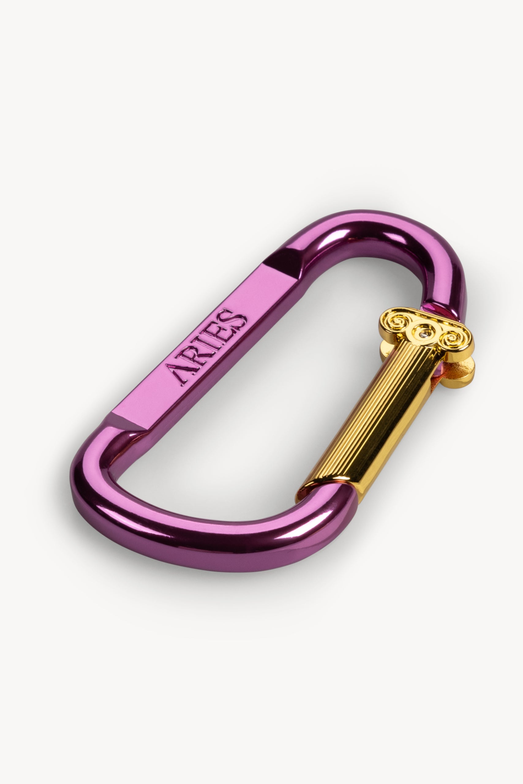 画像をギャラリービューアに読み込む, Column Carabiner