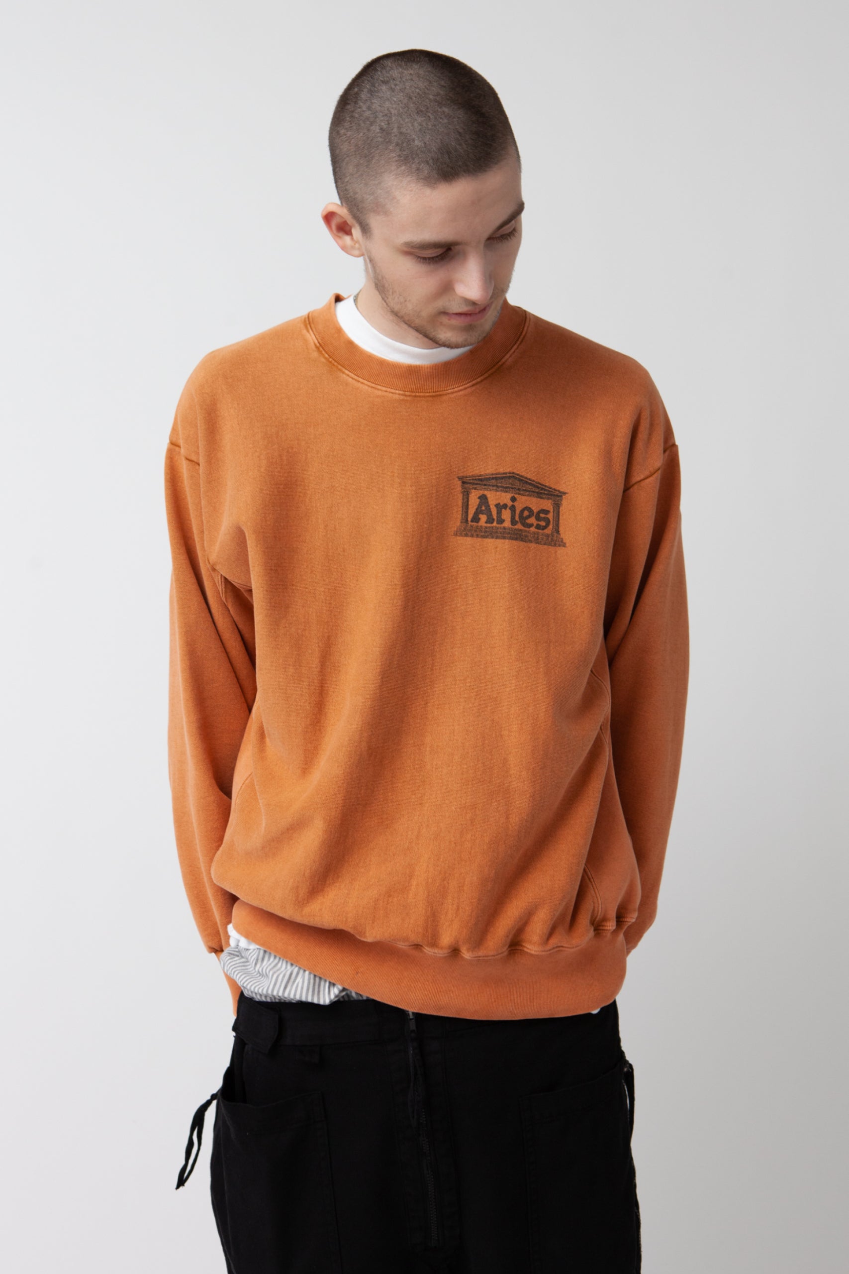 Load image into Gallery viewer, Premium Aged Temple Sweatshirt