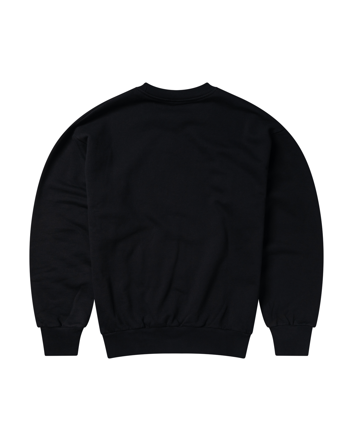 Discovery Sweatshirt