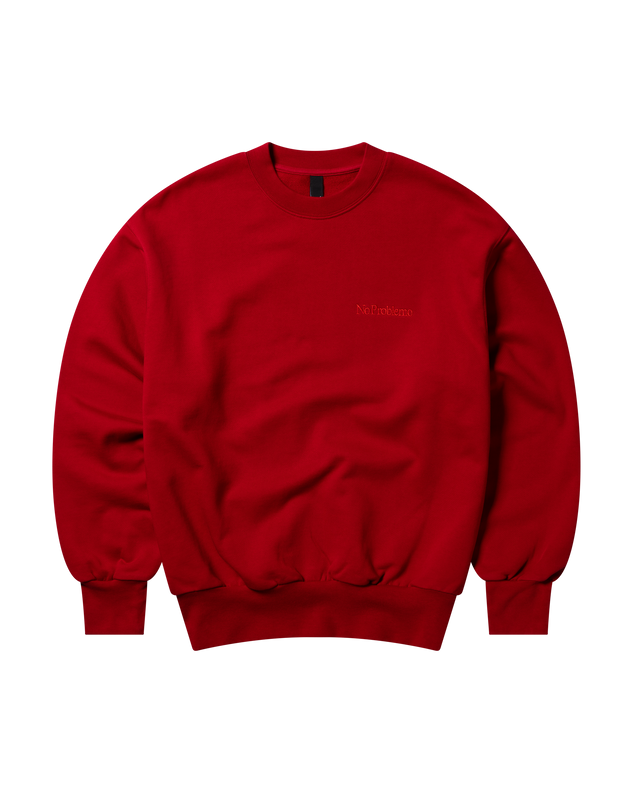 Mini Problemo Embroidered Sweatshirt