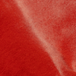 Rag Dye Swamp Queen LS Tee