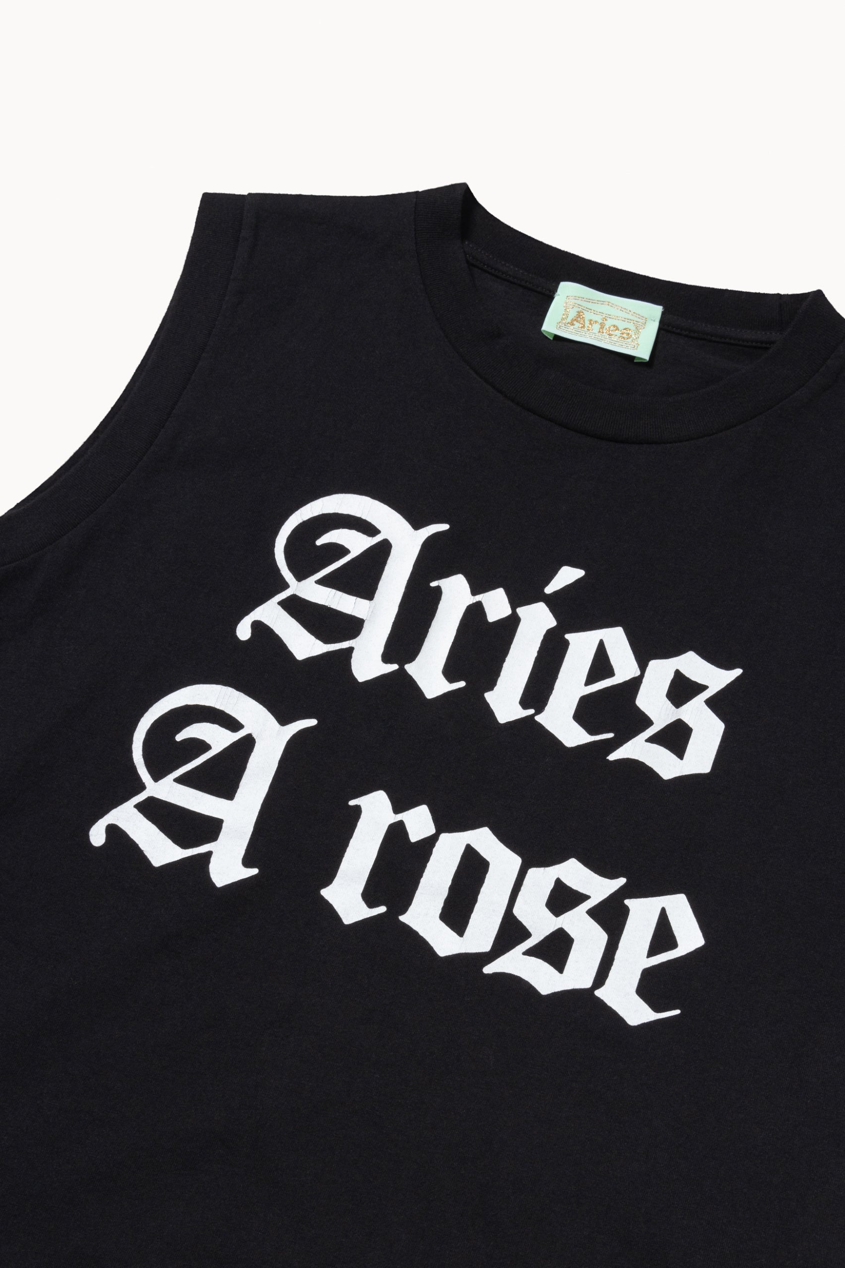 Load image into Gallery viewer, Aries Arose Vest