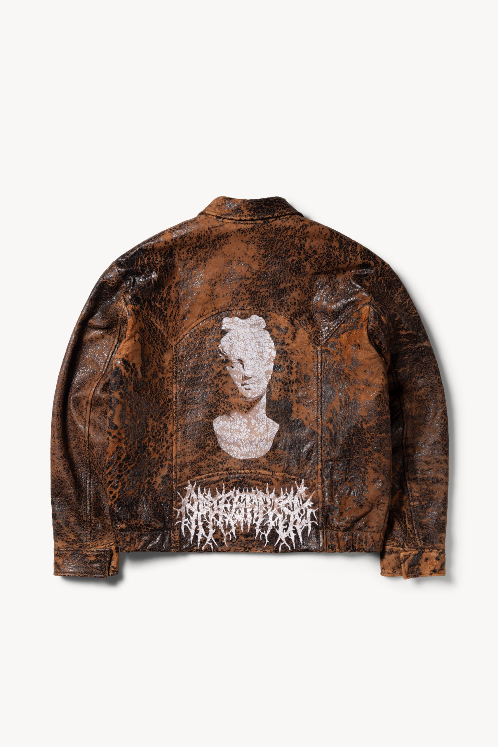 画像をギャラリービューアに読み込む, Distressed Leather Jacket