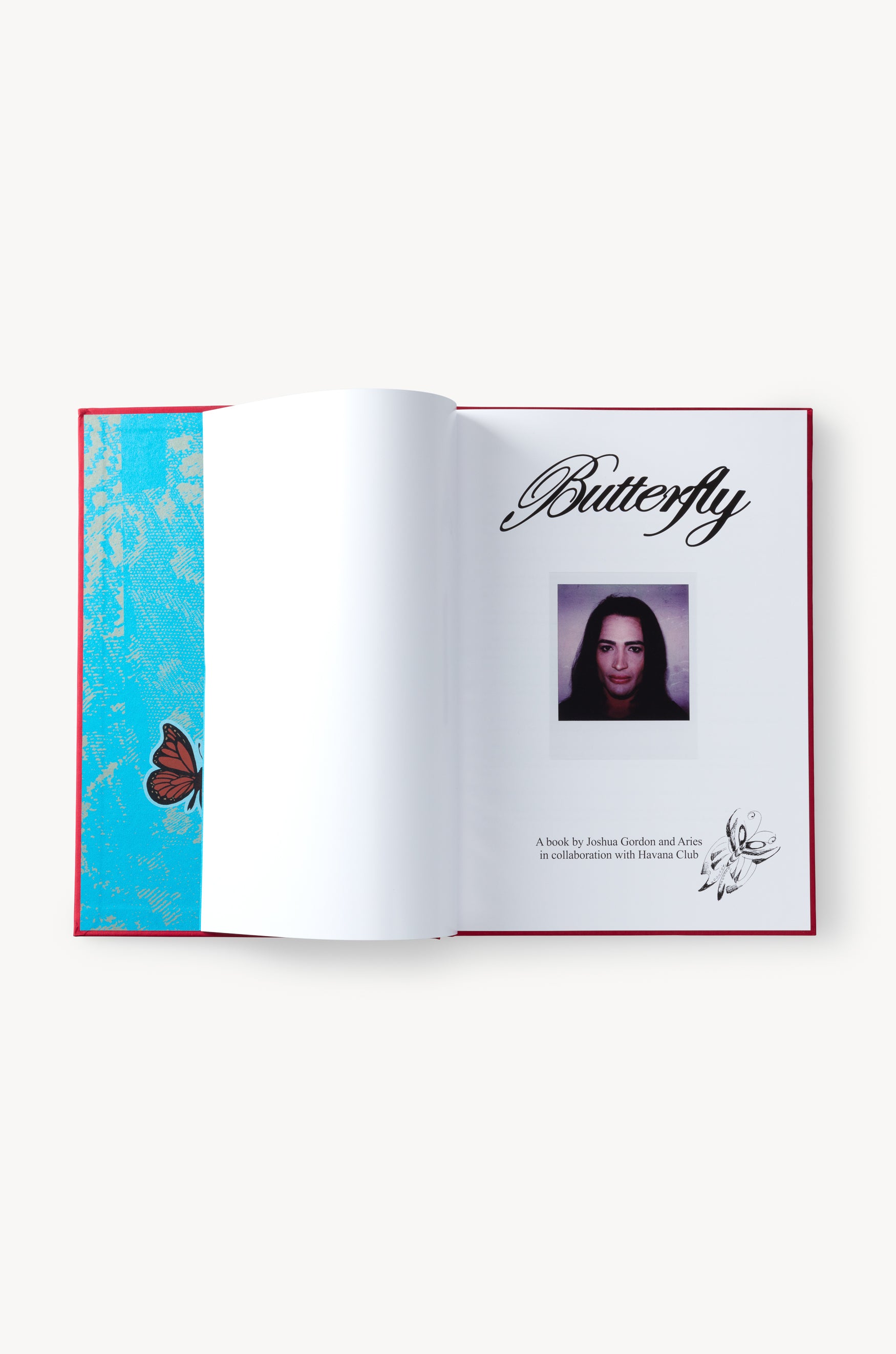 画像をギャラリービューアに読み込む, Butterfly Book