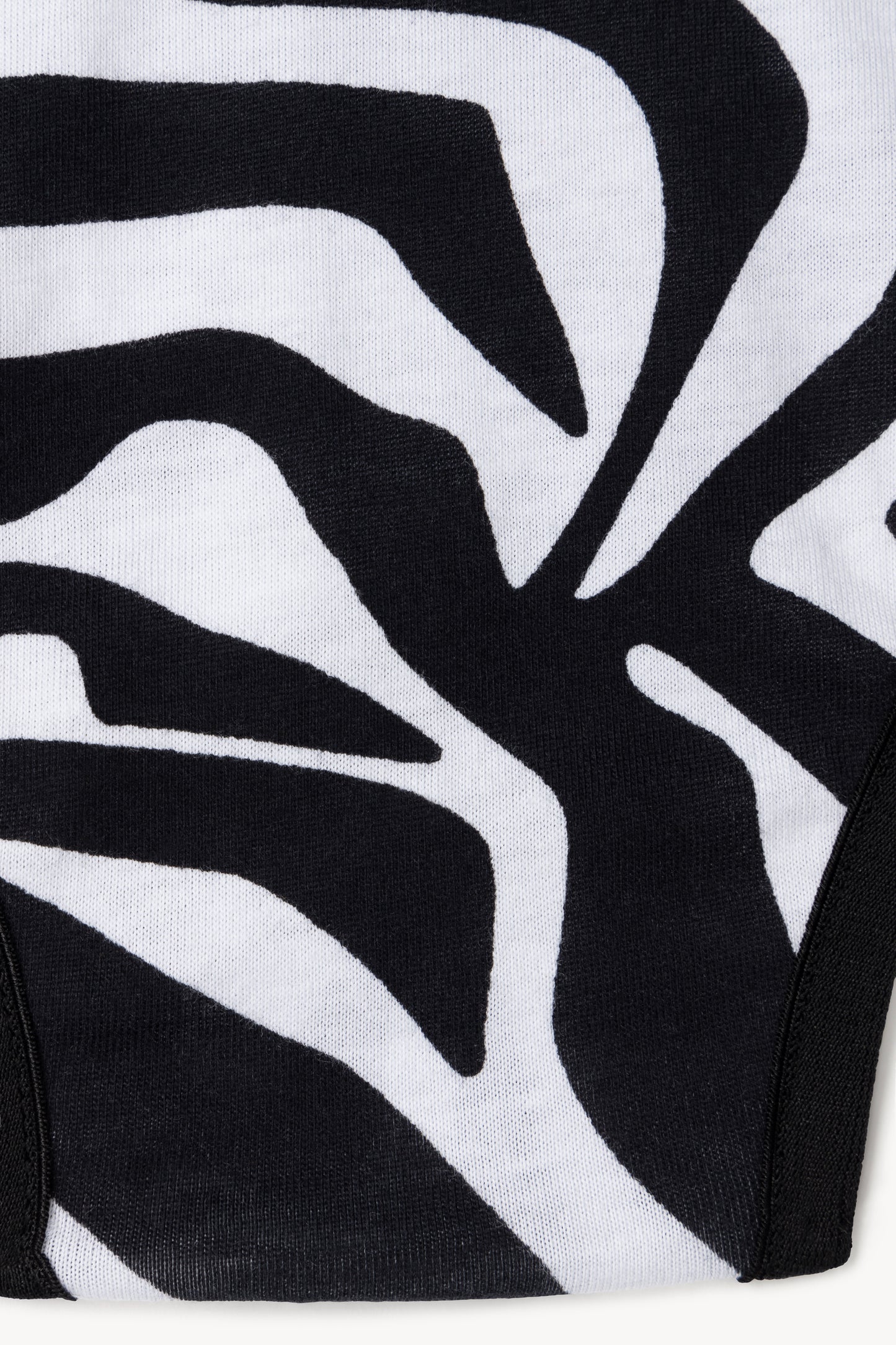 Zebra Briefs