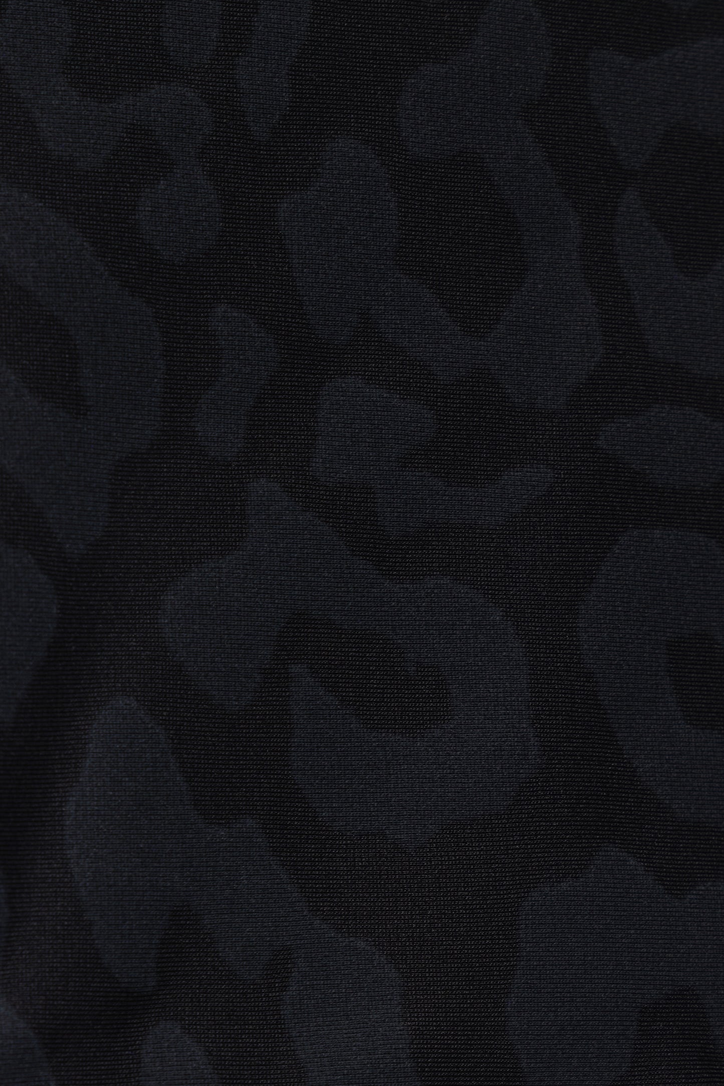 Leopard High Waist Brief