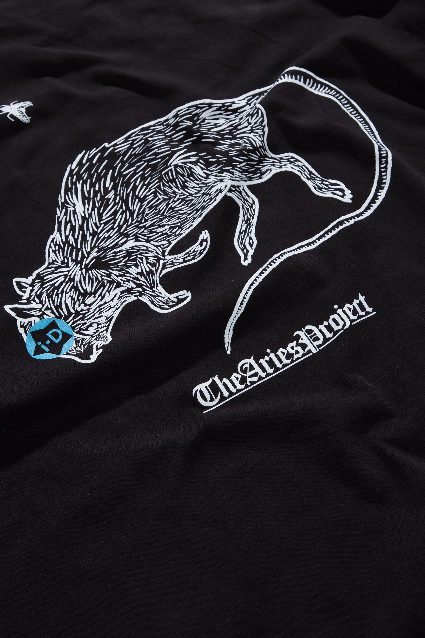 i-D Rat T