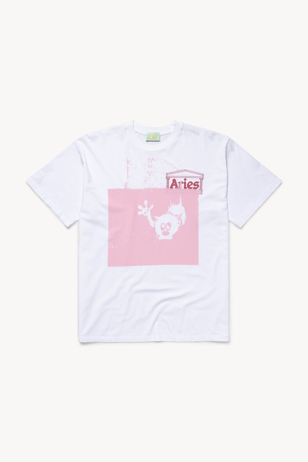 Drenched Cat Tee