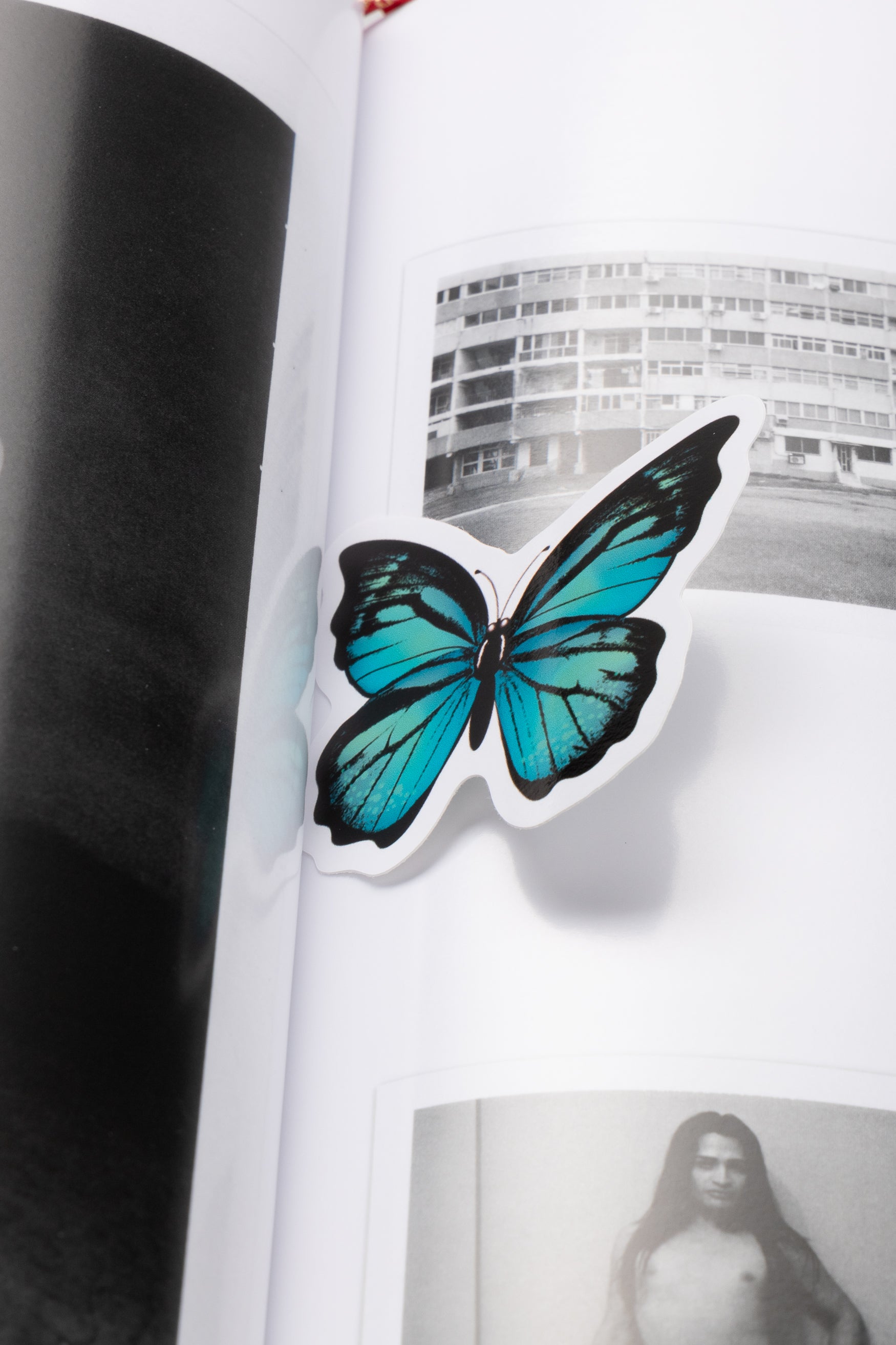 画像をギャラリービューアに読み込む, Butterfly Book