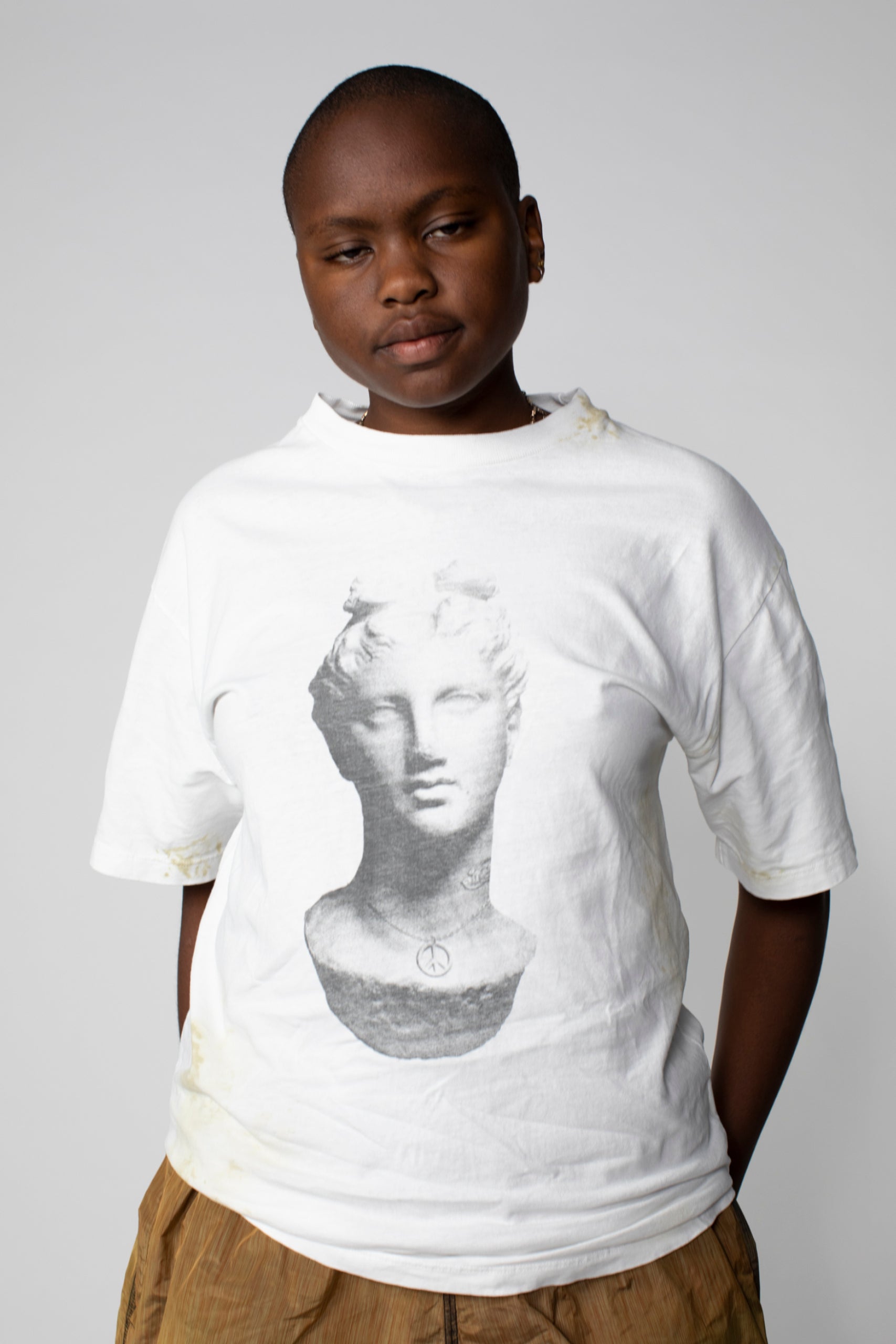 Load image into Gallery viewer, Aged Statue SS Tee