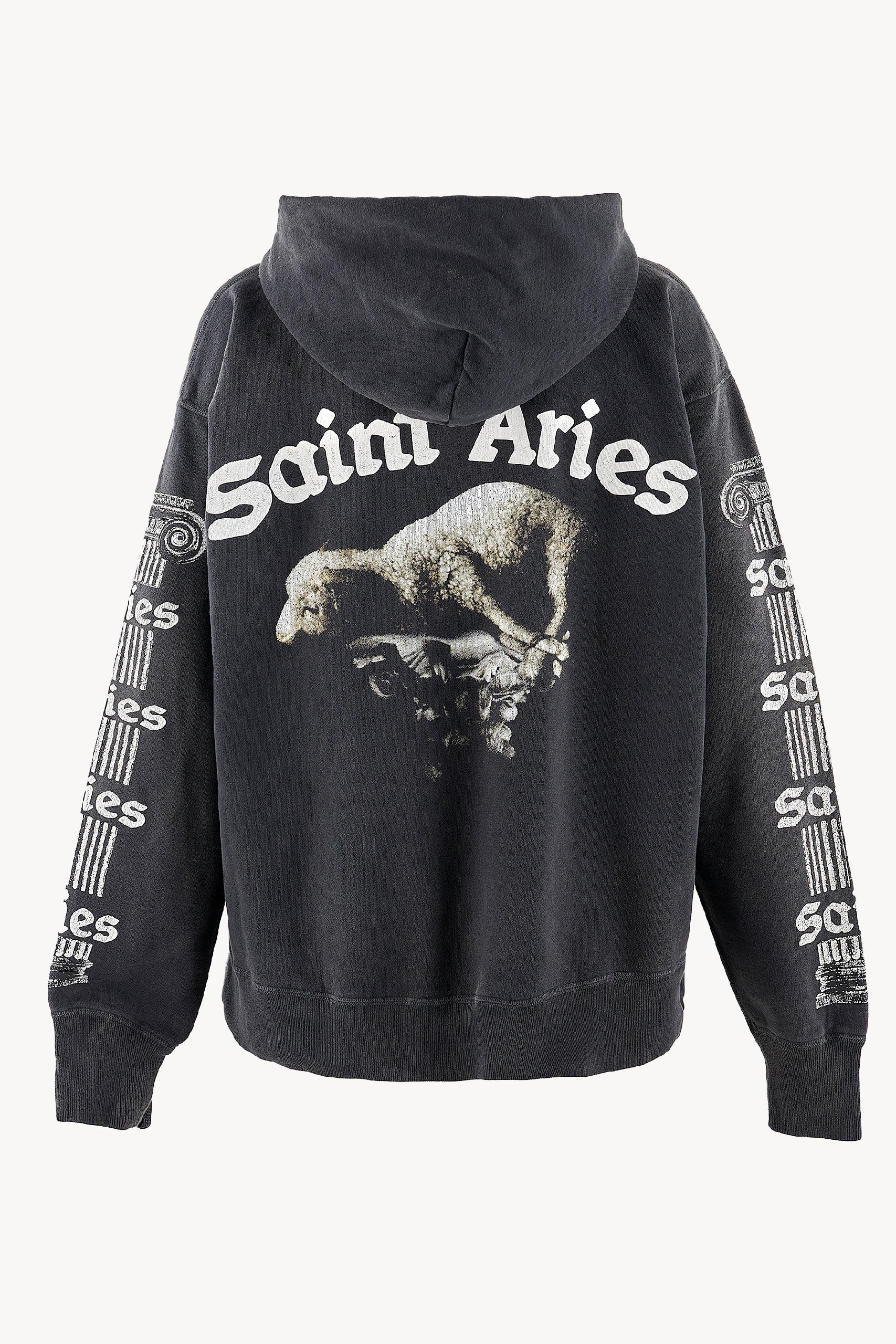 画像をギャラリービューアに読み込む, Saint Aries Hoodie