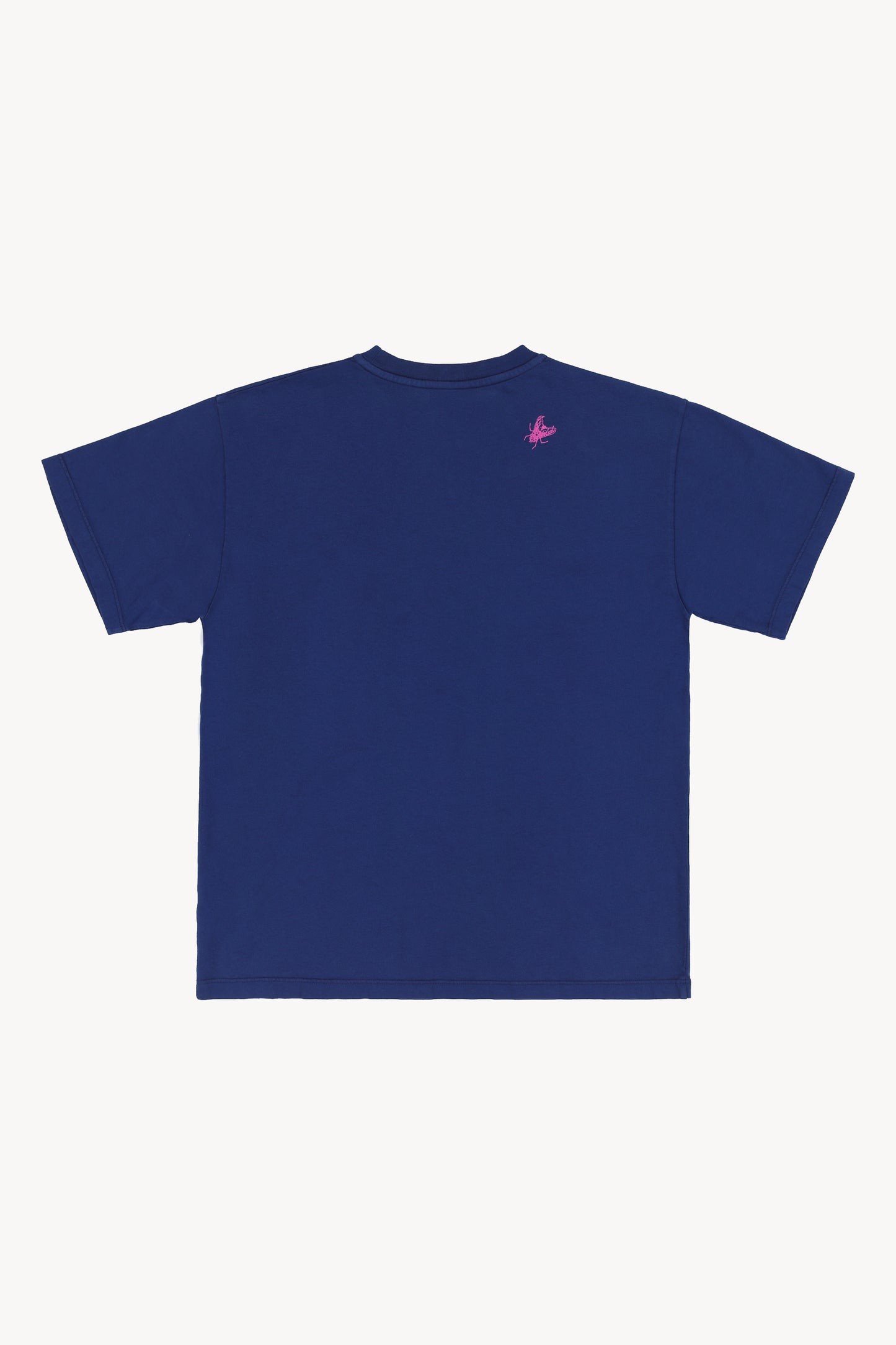 The Aries Project T