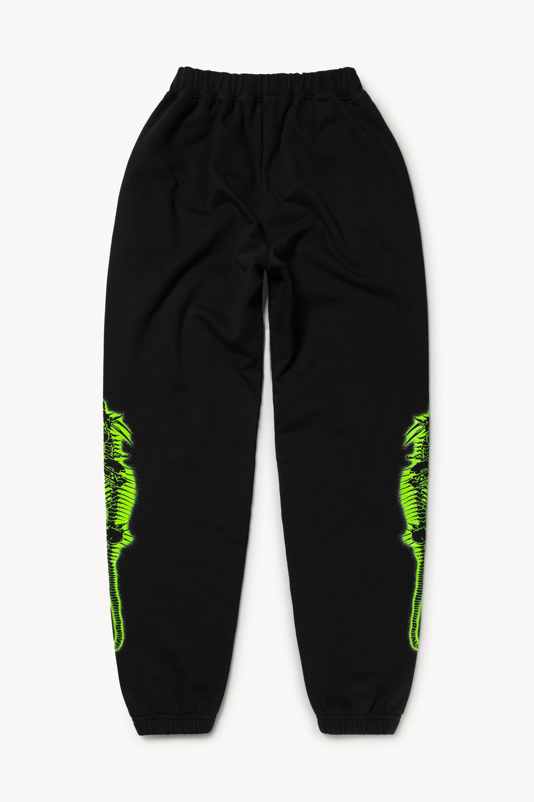 Load image into Gallery viewer, Dragon Skeletor Sweatpant