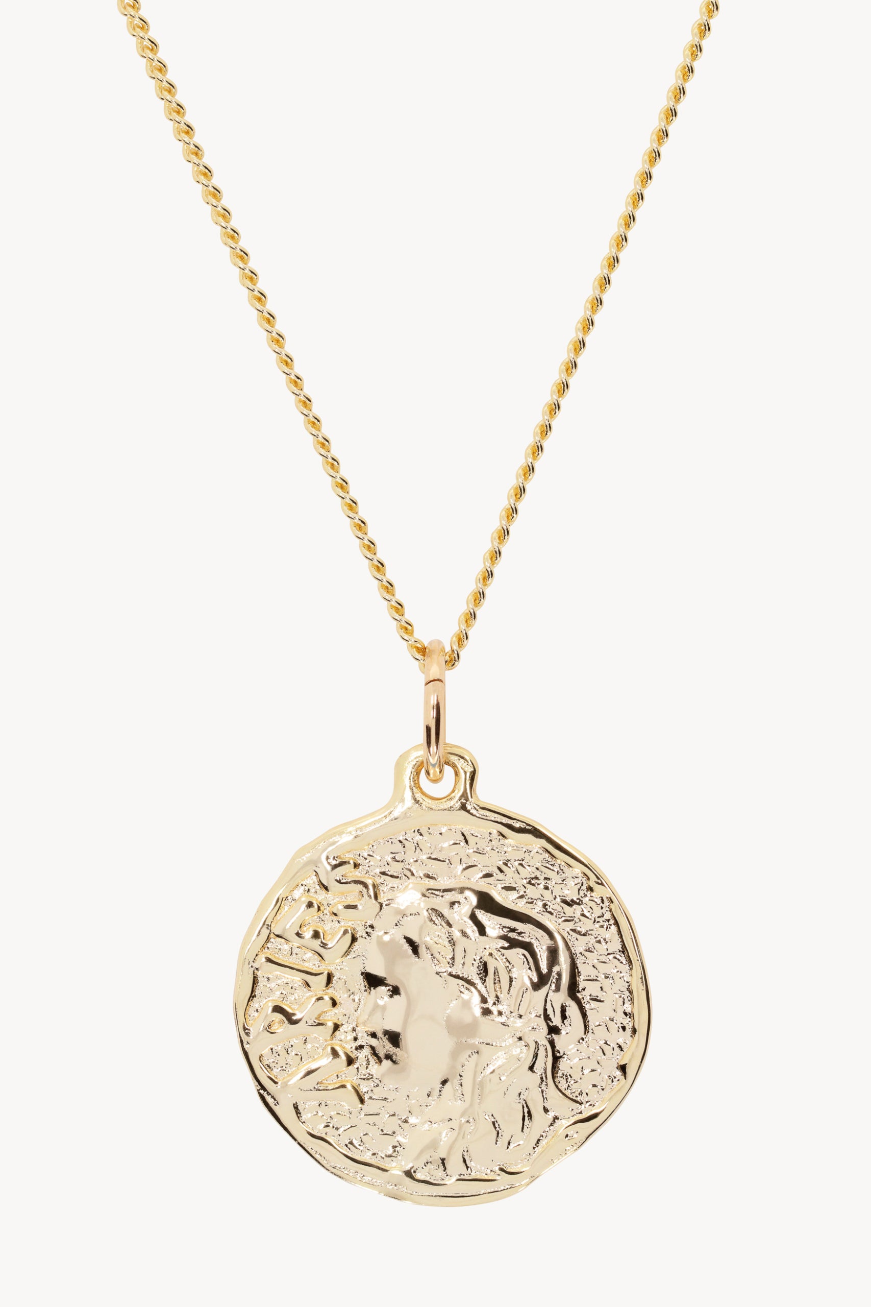 画像をギャラリービューアに読み込む, Chain Necklace With Roman Coin Pendant