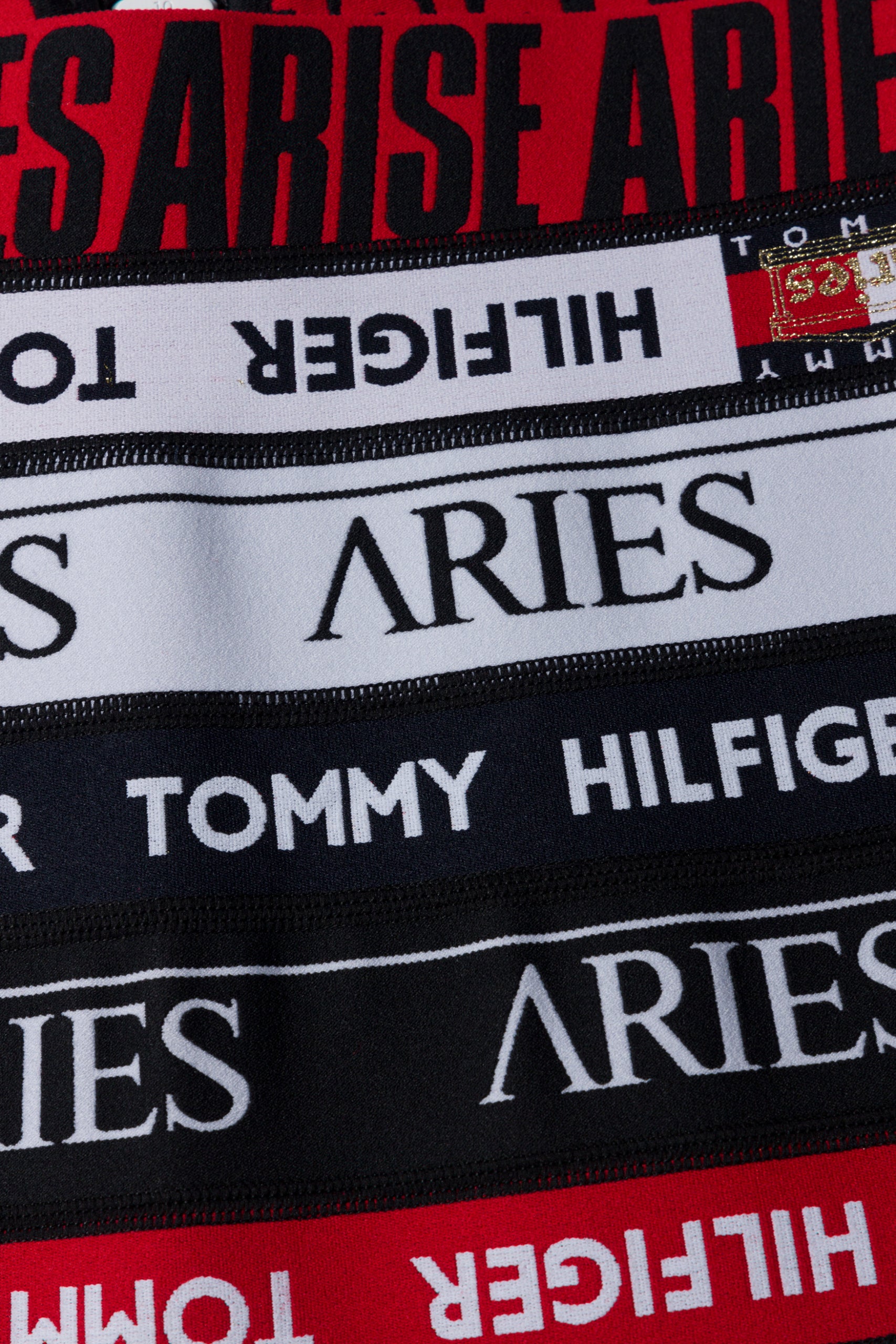 画像をギャラリービューアに読み込む, Tommy x Aries Logo Elastic Skirt