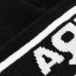 Aries x Vault by Vans Logo Beanie